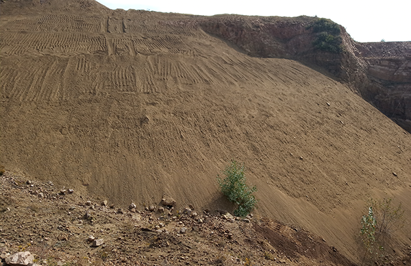 ��ɽ��̬�޸�